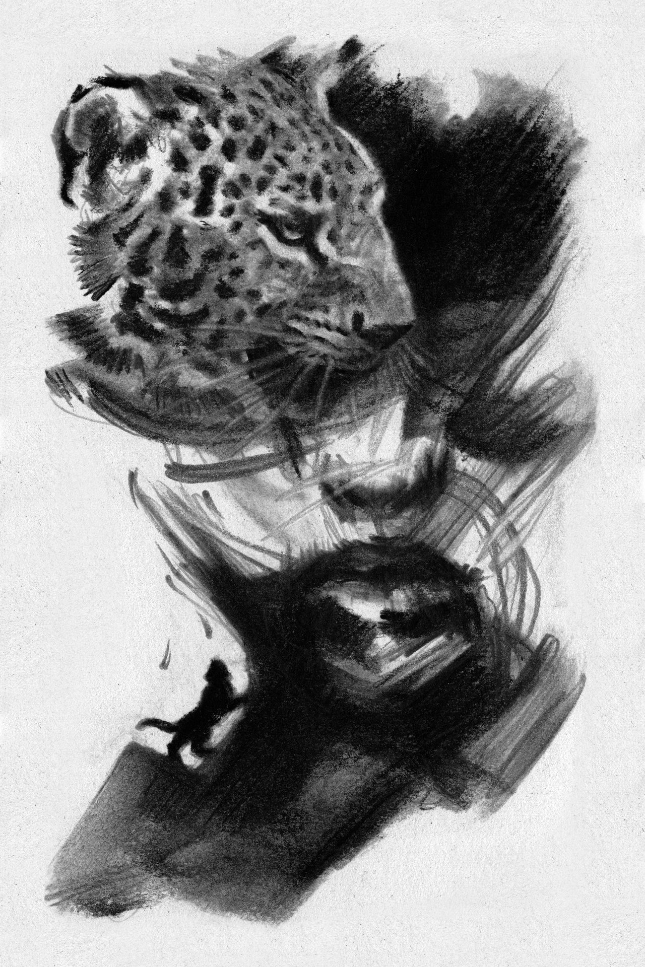 The Jaguar's Becoming | Print