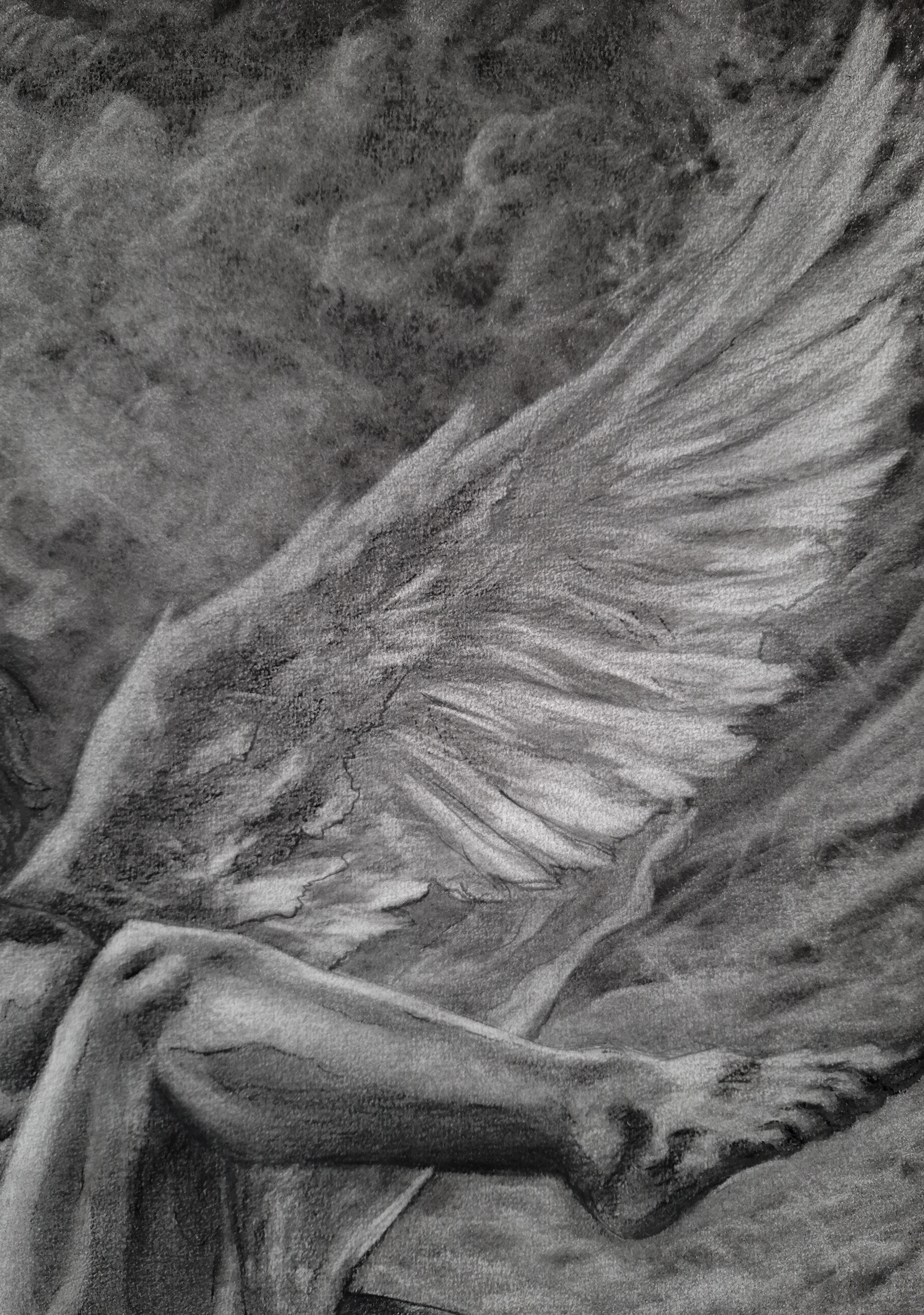 The Last Light | Original Drawing