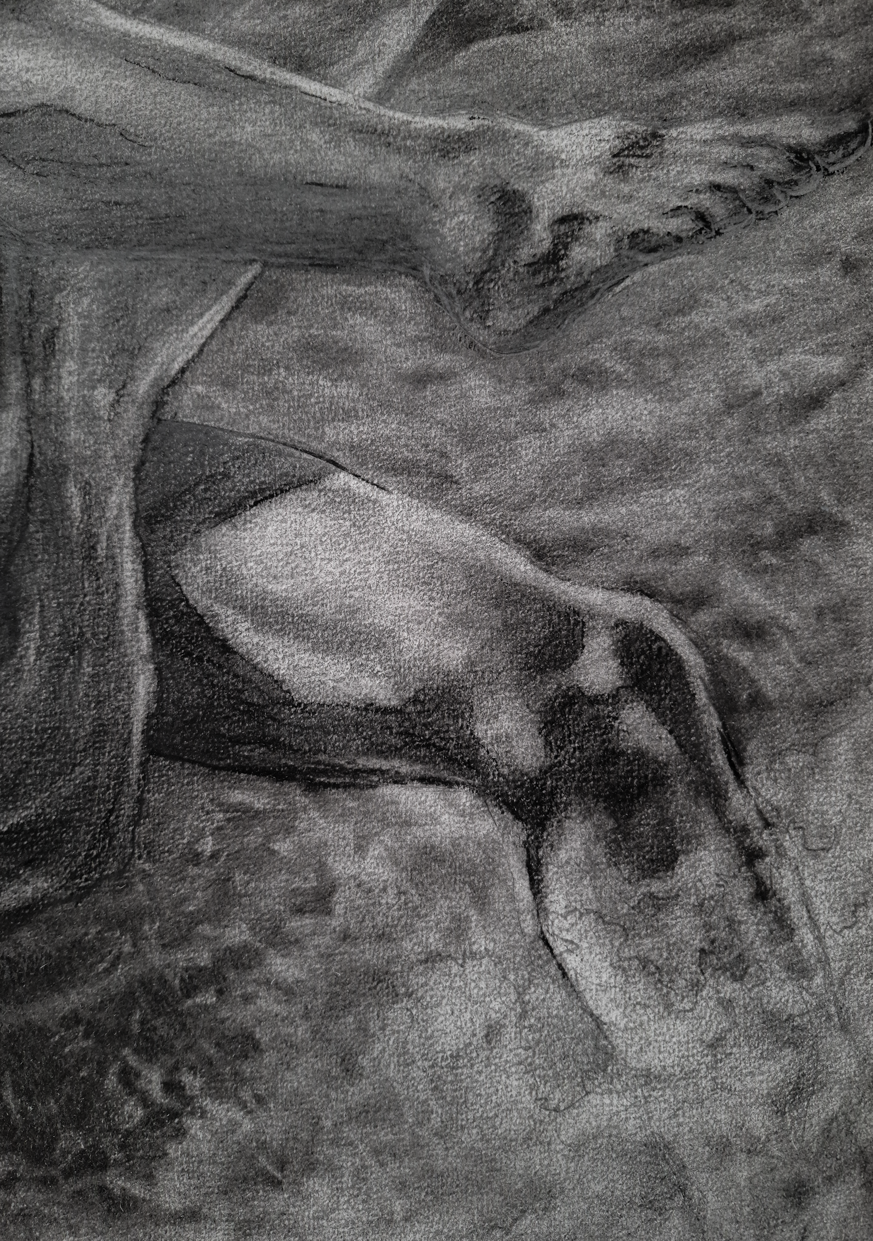The Last Light | Original Drawing