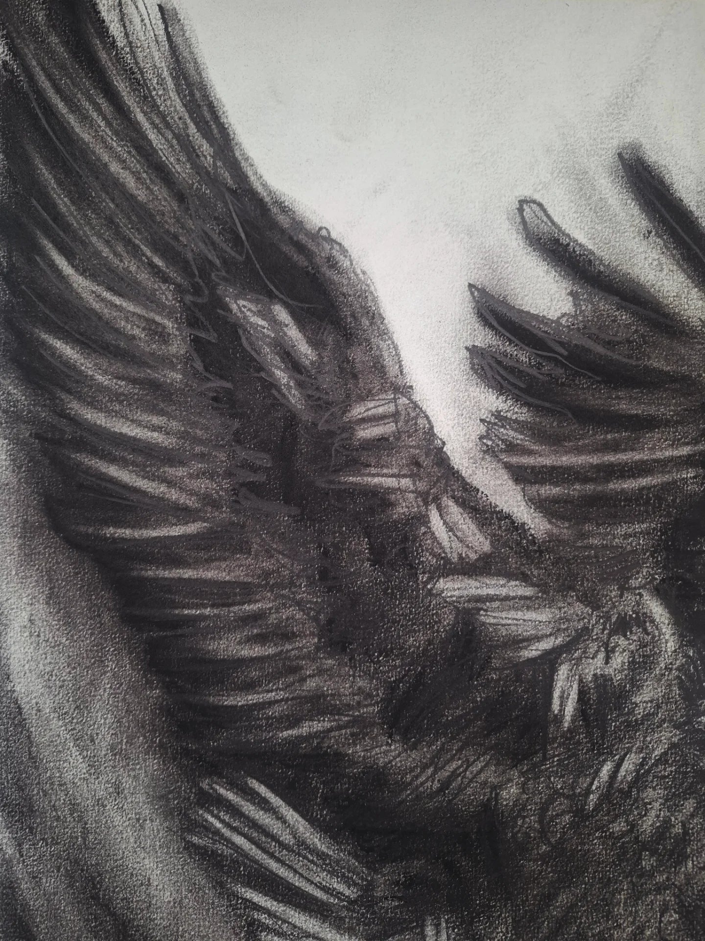 Me Verás Caer | Original