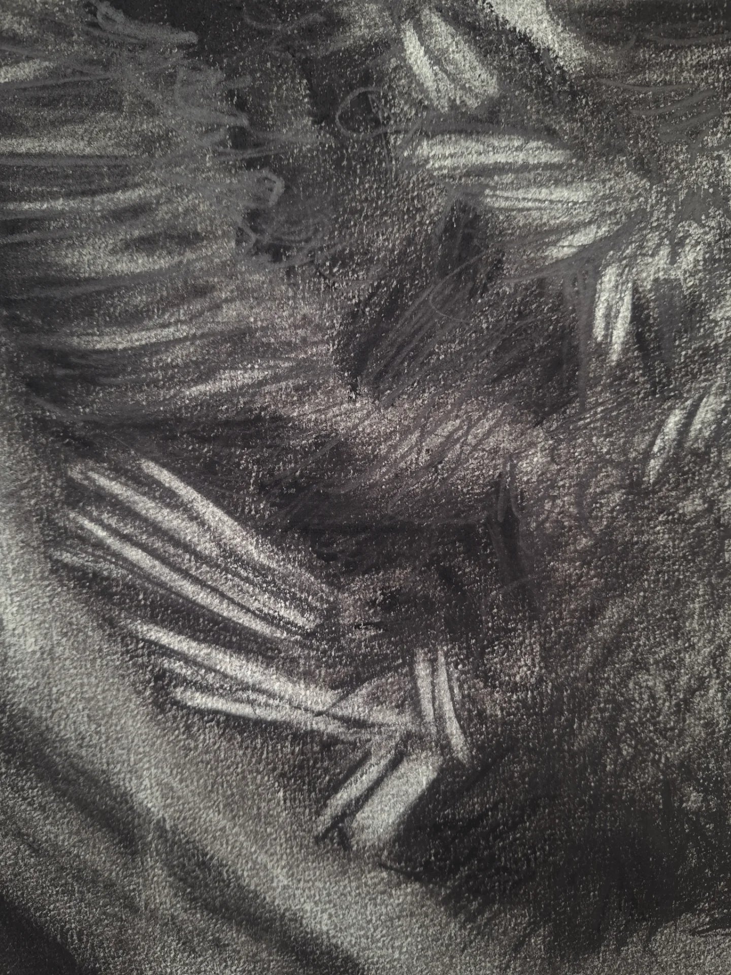 Me Verás Caer | Original