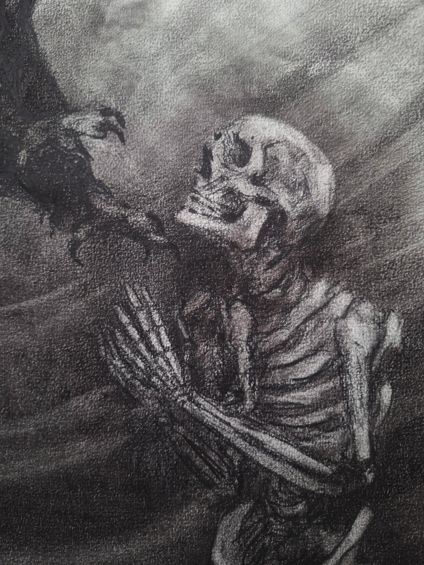 Me Verás Caer | Original