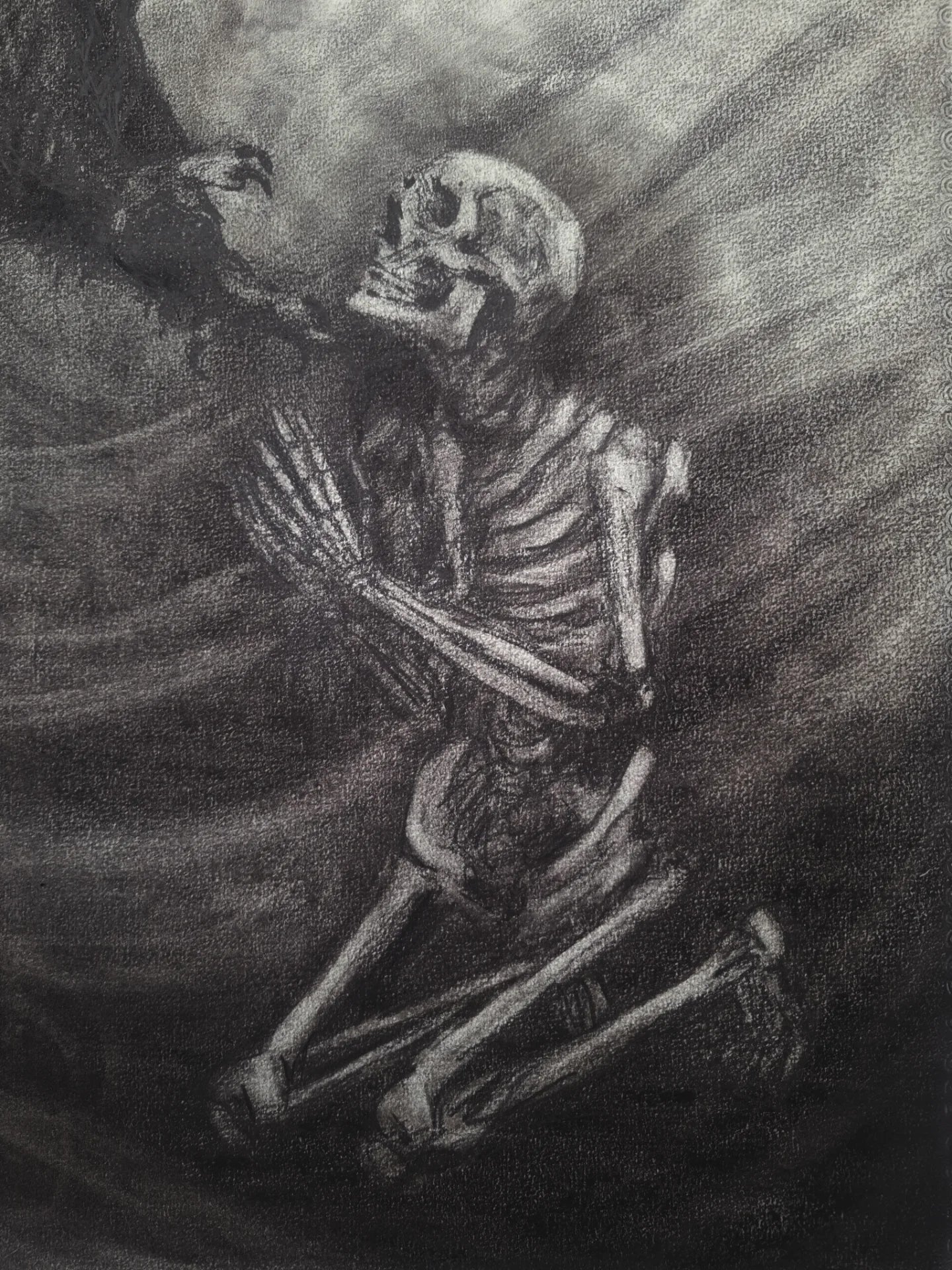 Me Verás Caer | Original