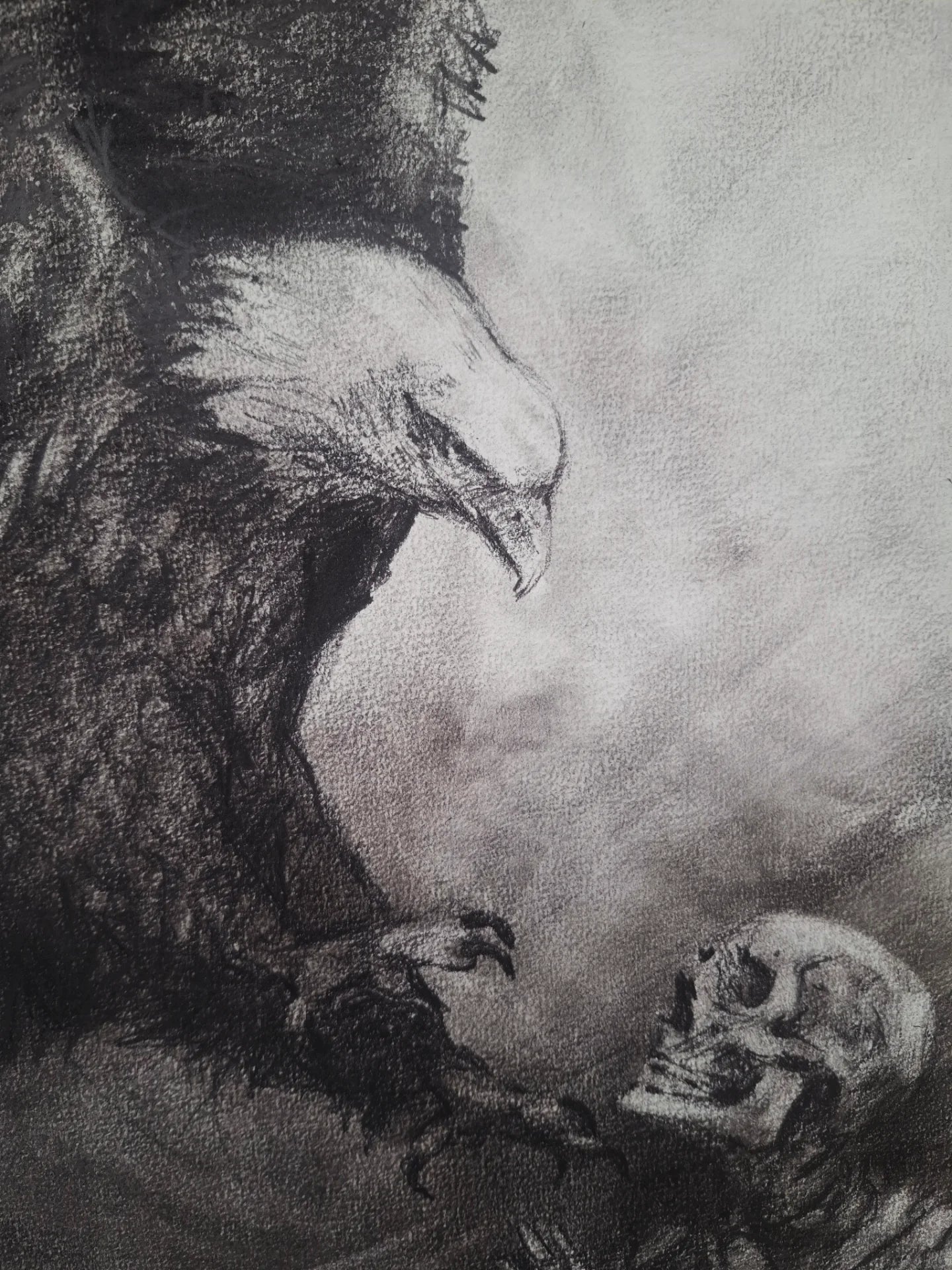 Me Verás Caer | Original