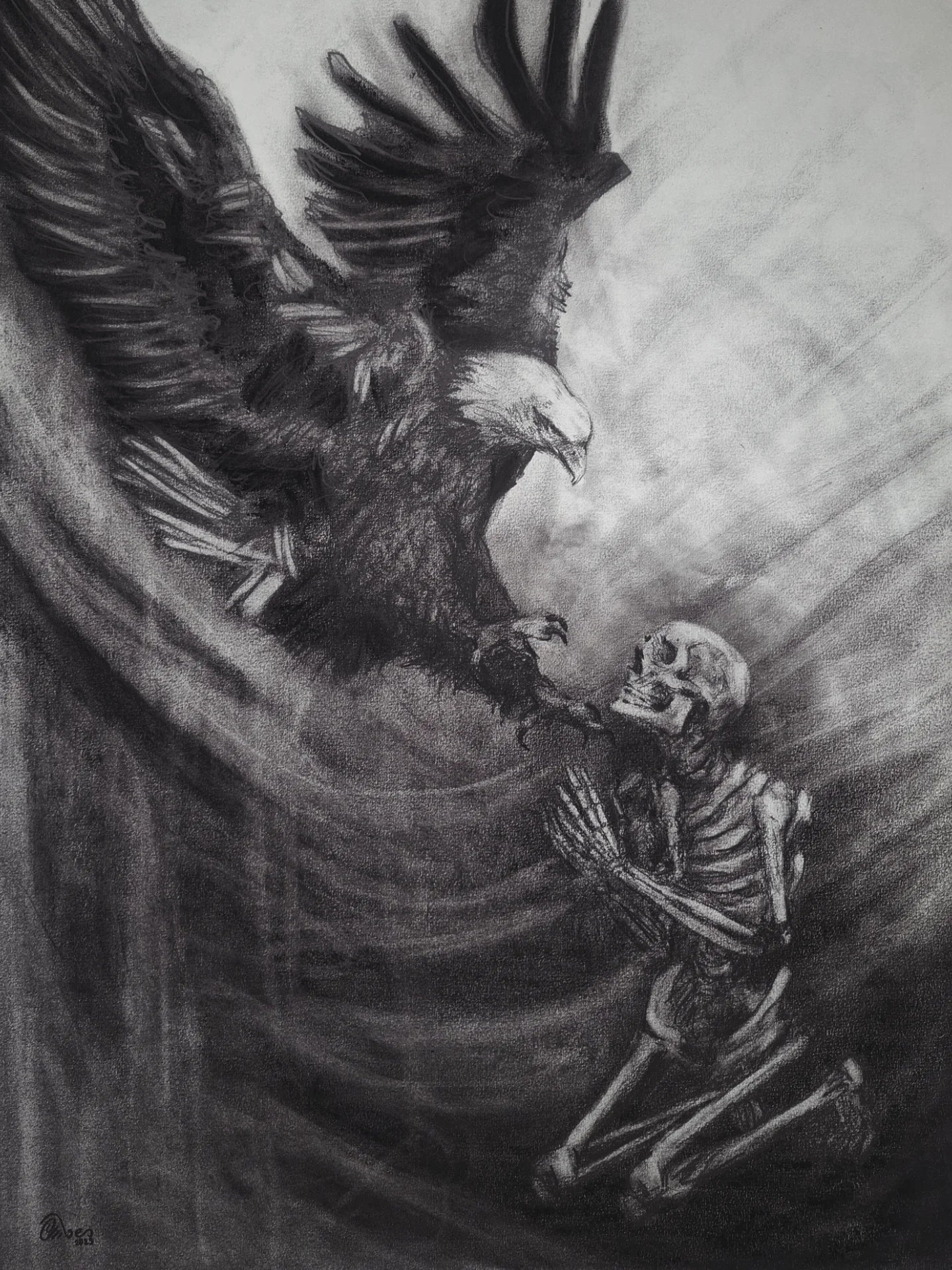 Me Verás Caer | Original